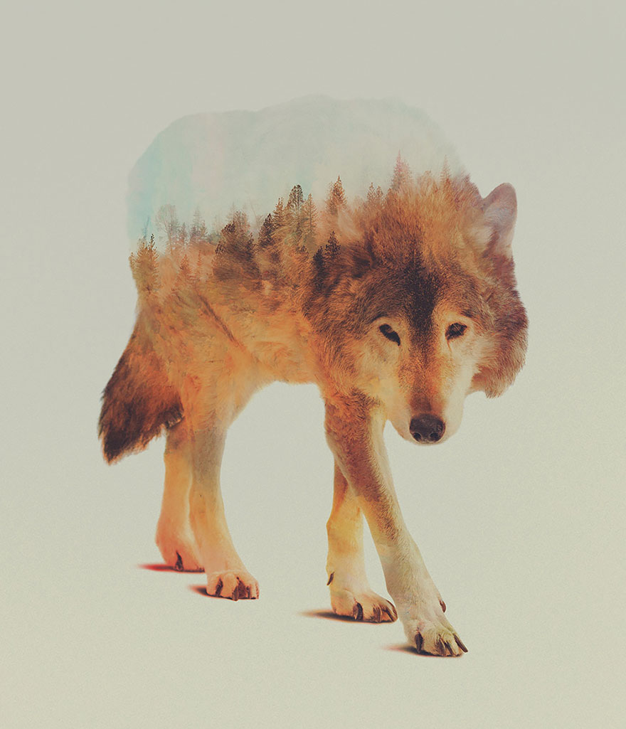 double-exposure-animal-photography-andreas-lie-2__880