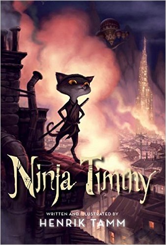 Ninja Timmy