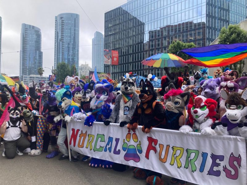 How to join San Francisco Pride 2024 with the Northern California