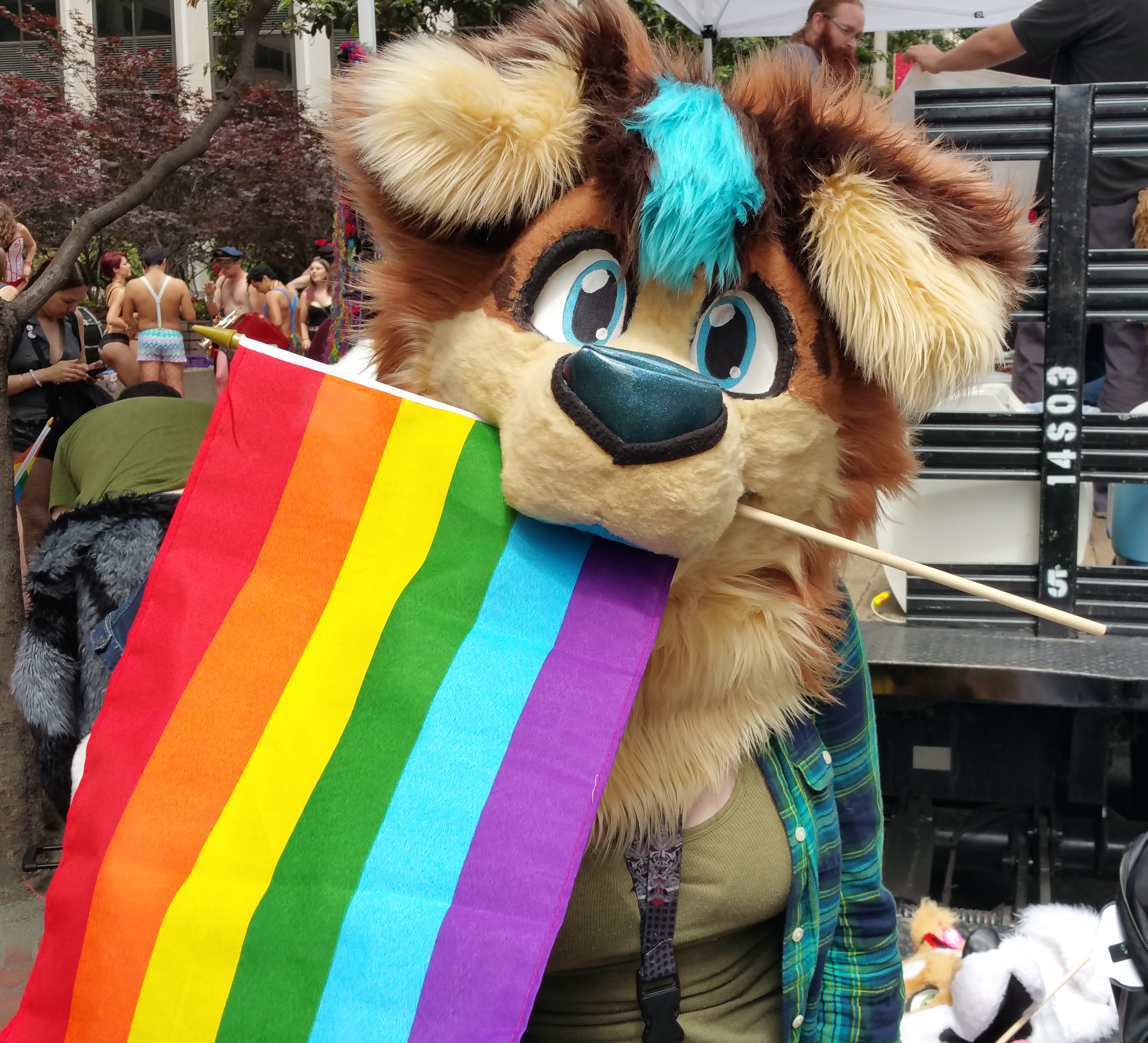 San Francisco Pride, gay marriage, and historic happenings in Furry Mecca. 